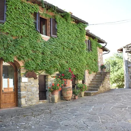 Il Santo * Greve in Chianti
