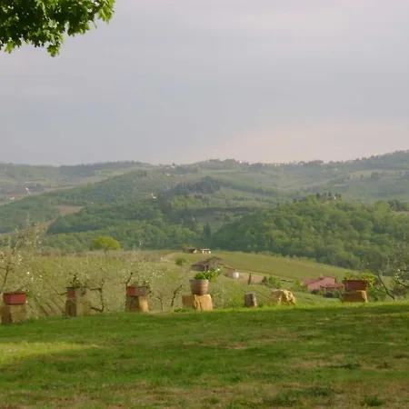 Il Santo